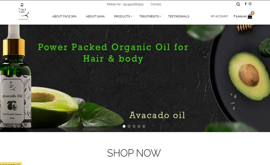 Face Spa by Sana Khan - website design by iNext Digital